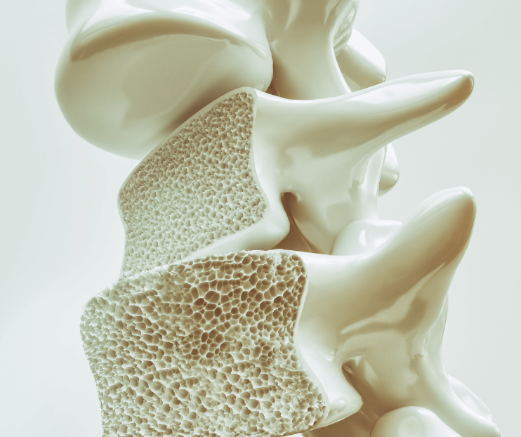 bone health spine bone health spine